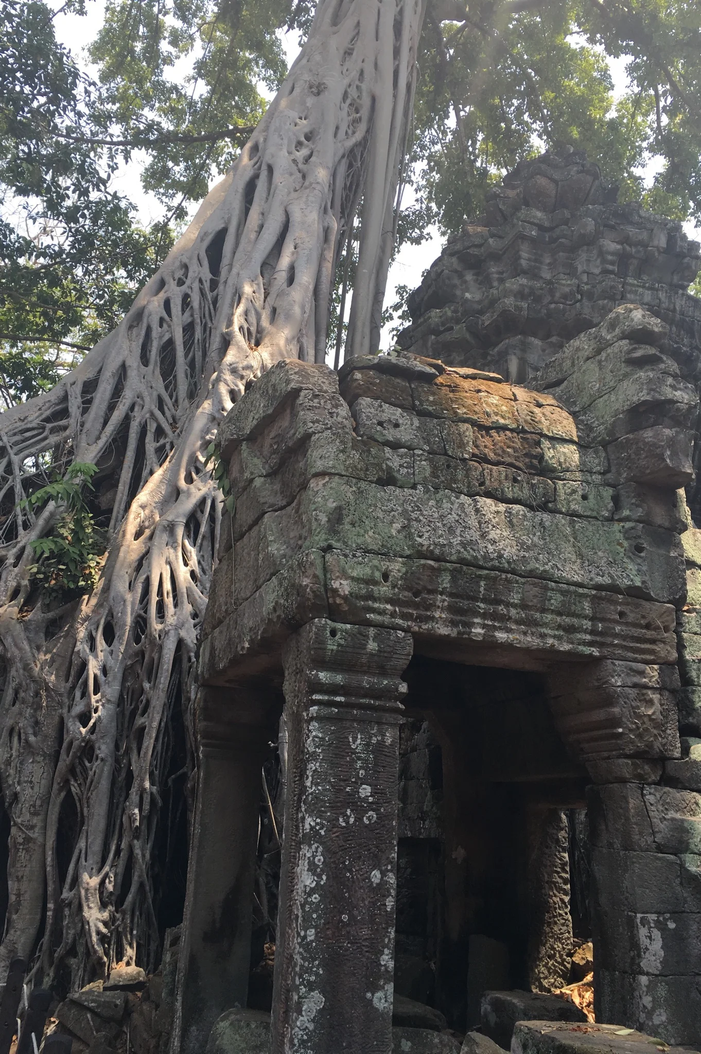 Ta Prohm