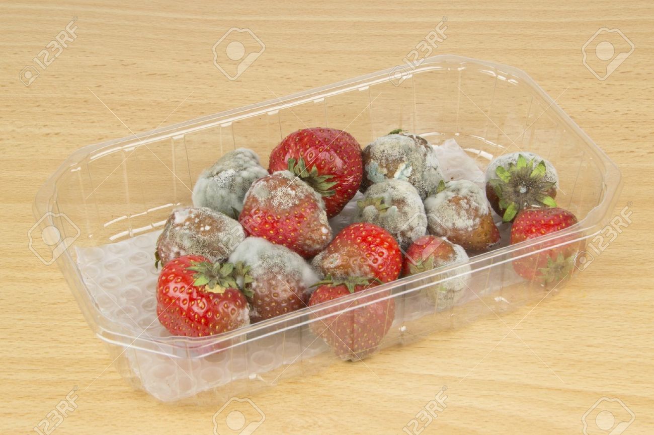 16801263-A-packet-of-rotten-mouldy-strawberries-on-a-table-top-Stock-Photo.jpg