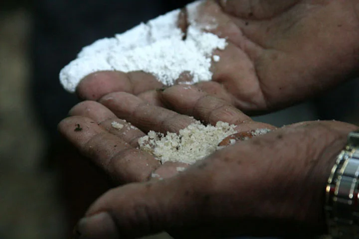 cocain civilization (2).jpg