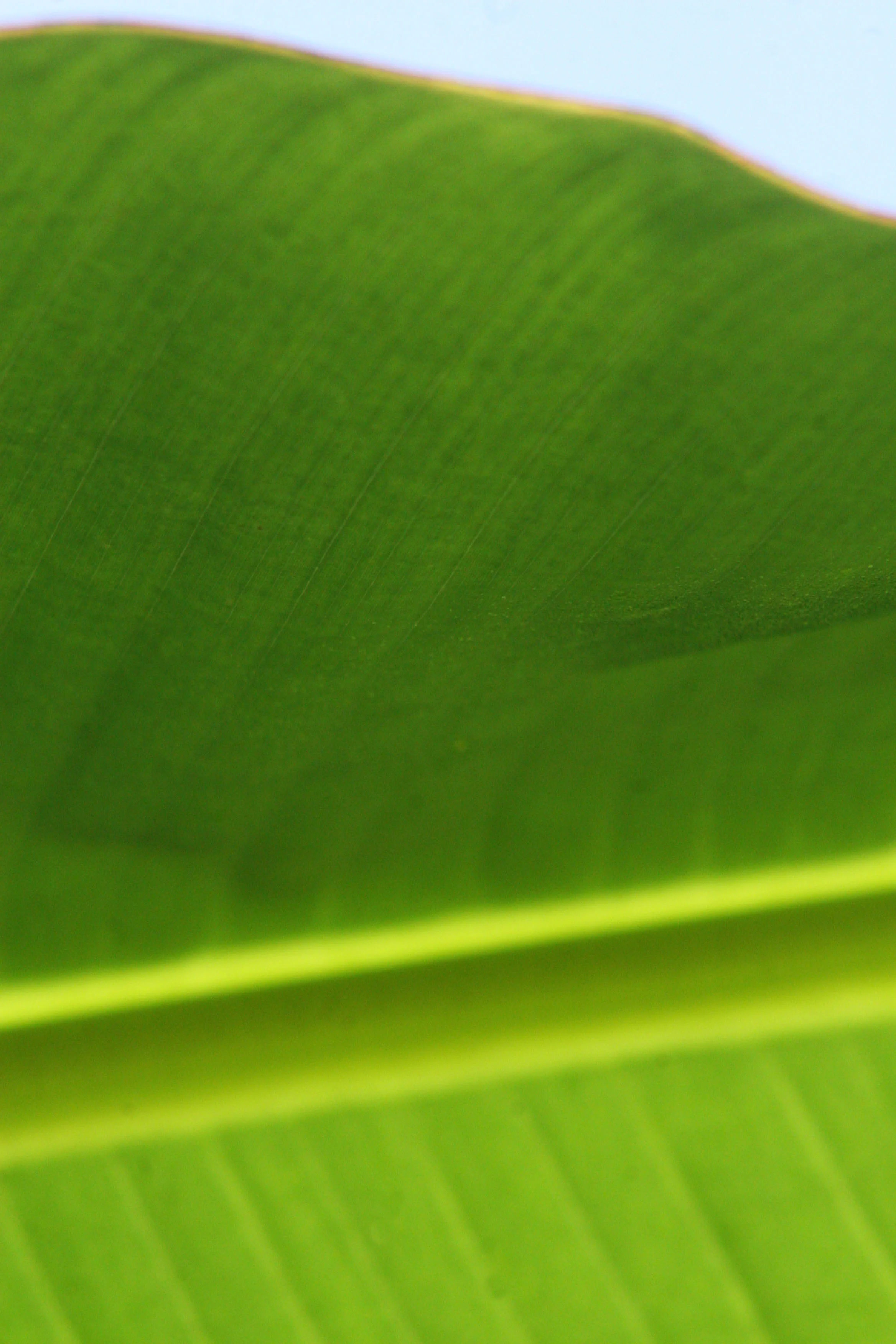 Tayronacuidadperdida (339).jpg