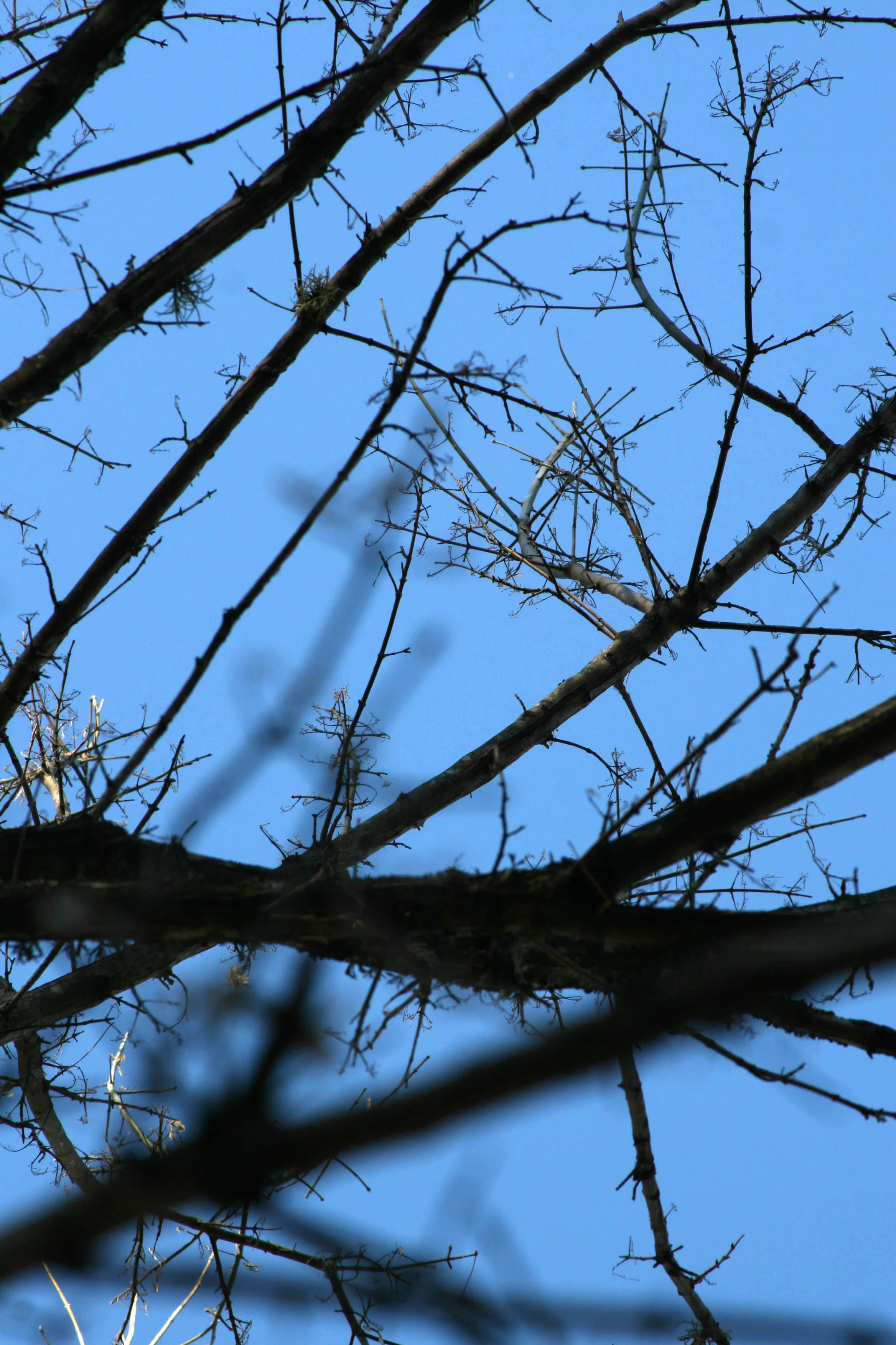 cordoba genva004 (32).jpg