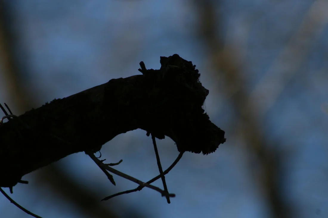 cordoba genva004 (38).jpg