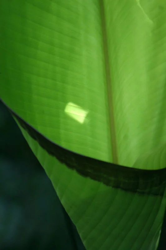 Tayronacuidadperdida (363).jpg