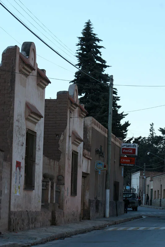 salenagarden 233.jpg