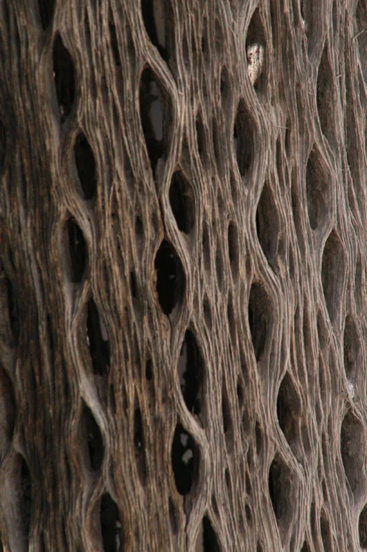 tilcara&iruya 014.jpg