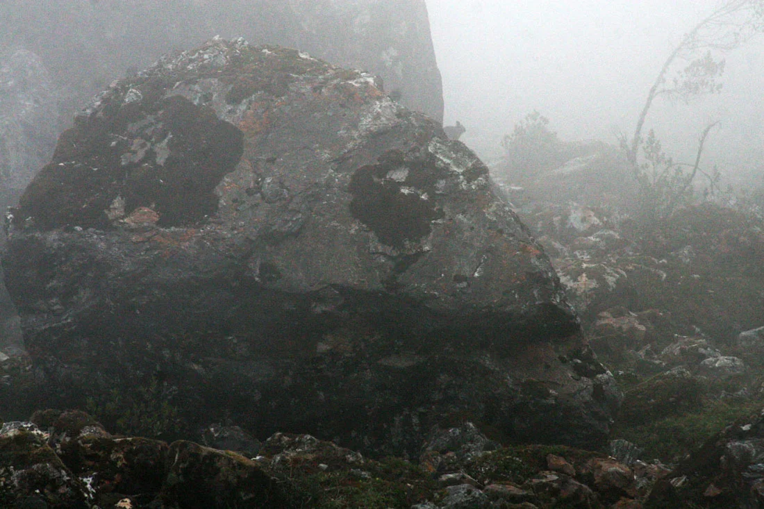 machupichuPeru (49).jpg