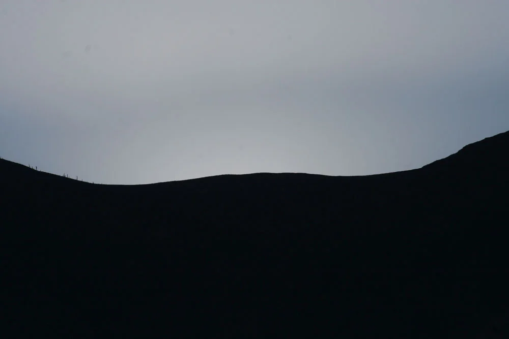 salenagarden 229.jpg