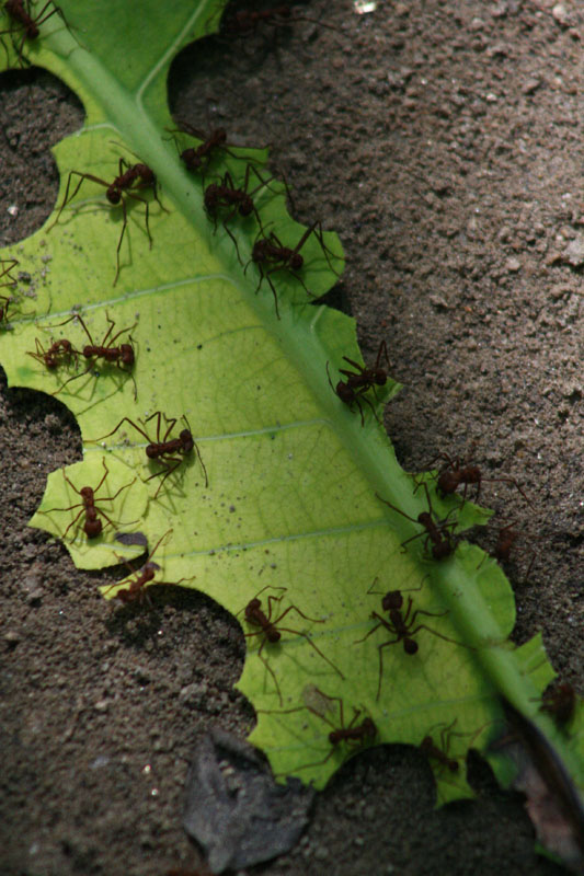 tayronapark (34).jpg