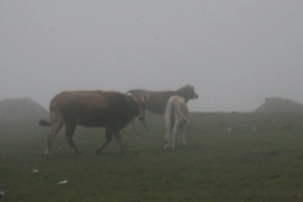 machupichuPeru (42).jpg