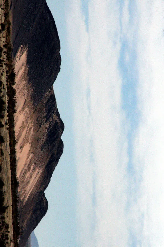 salenagarden 106.jpg