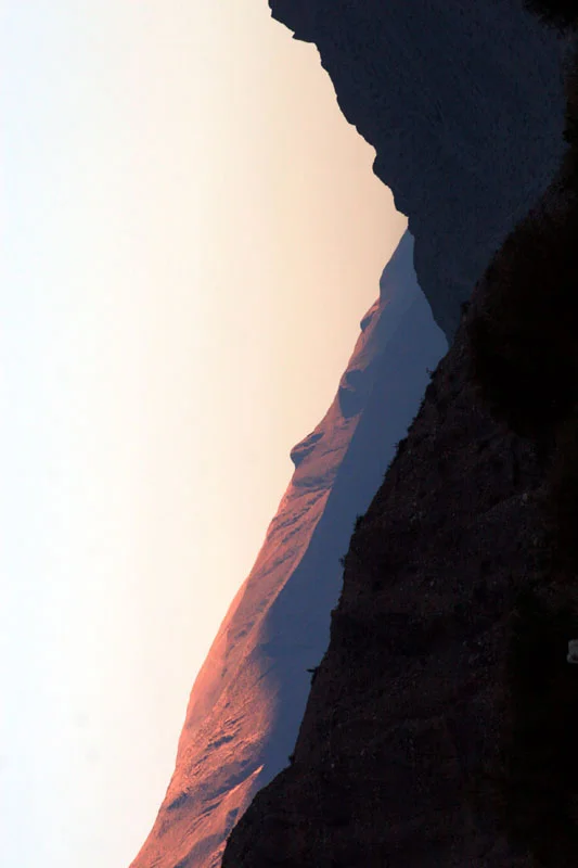 salenagarden 264.jpg