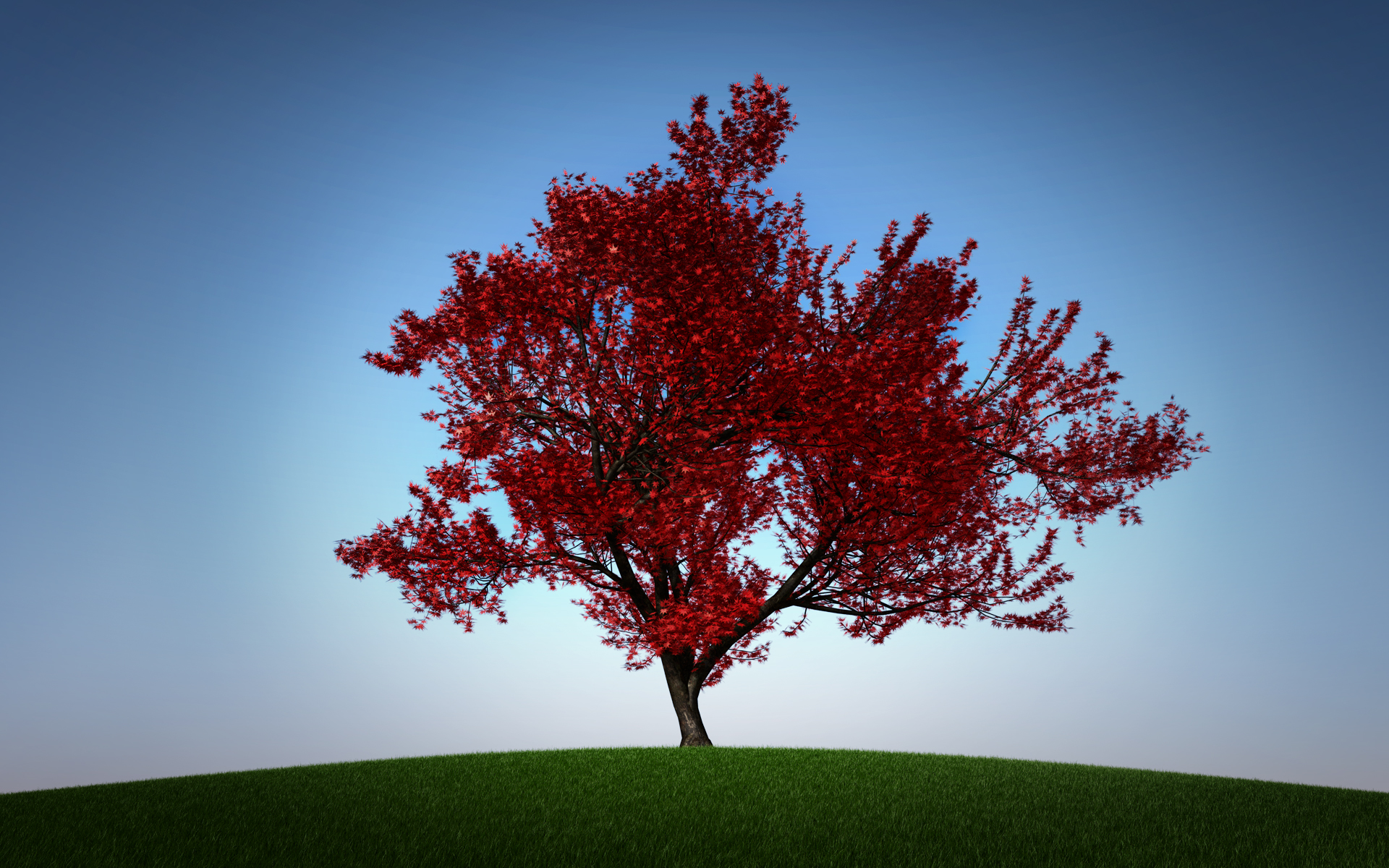 momiji01_final_002.jpg