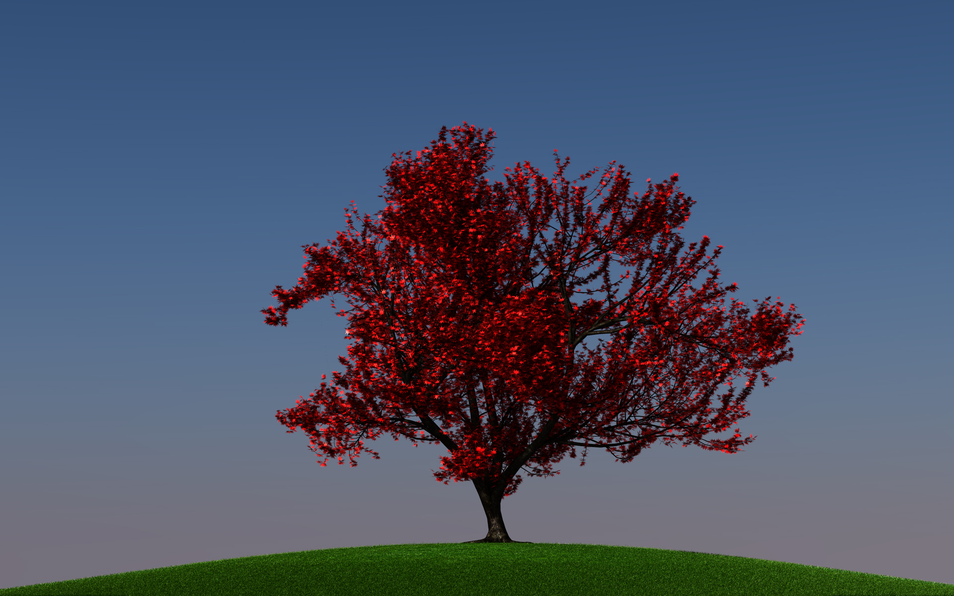 momiji01_final_003.jpg