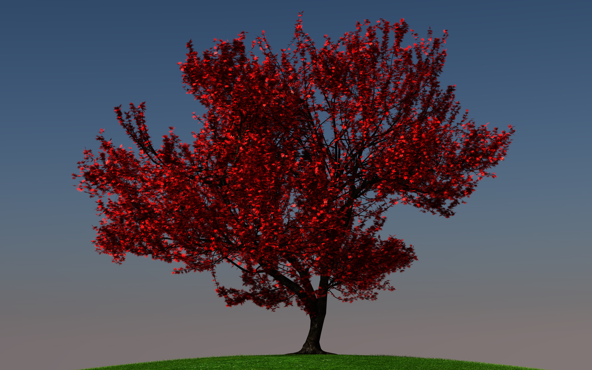 momiji01_final_004.jpg