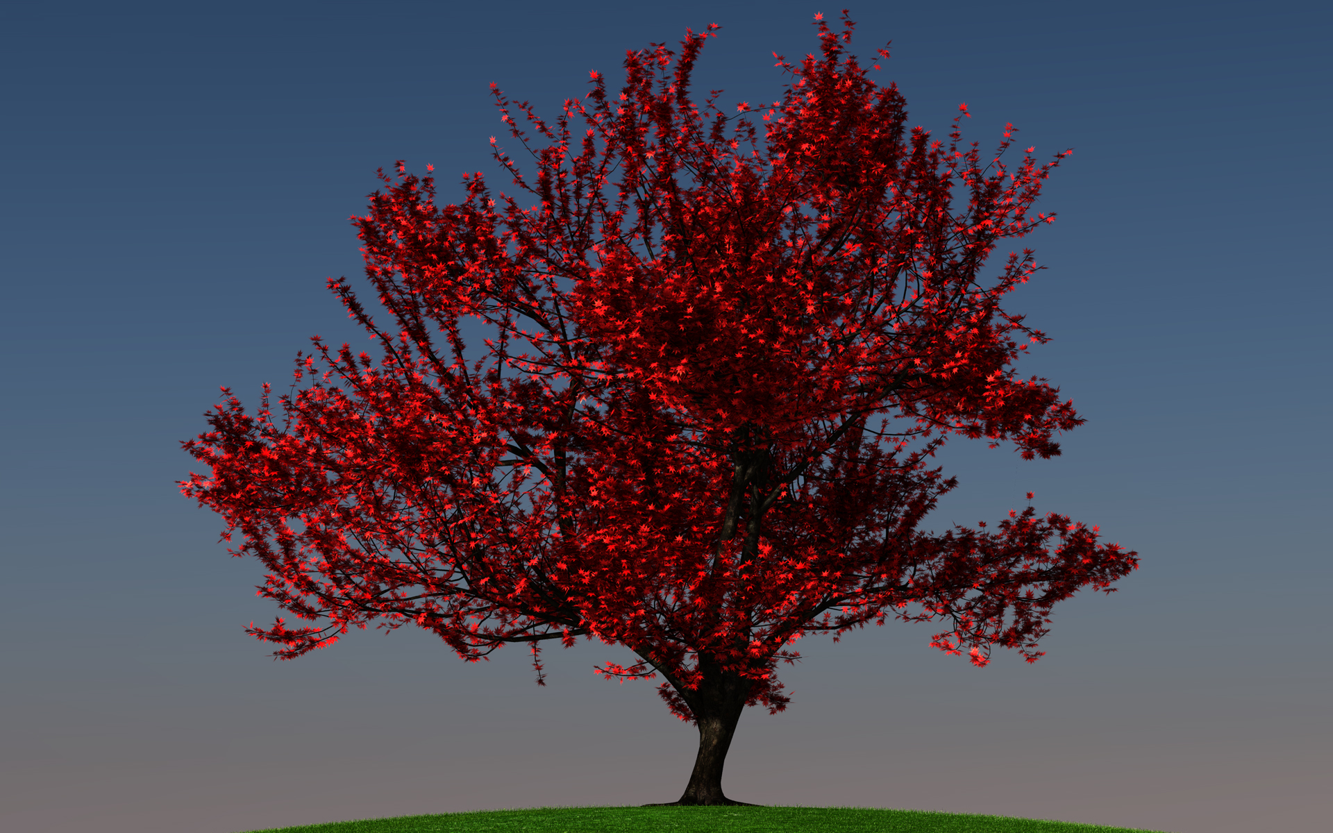 momiji01_final_005.jpg