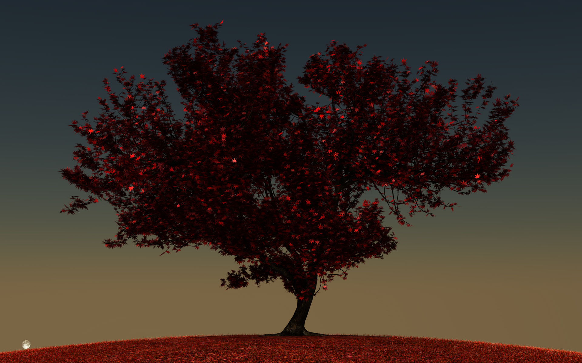 momiji01_final_008.jpg