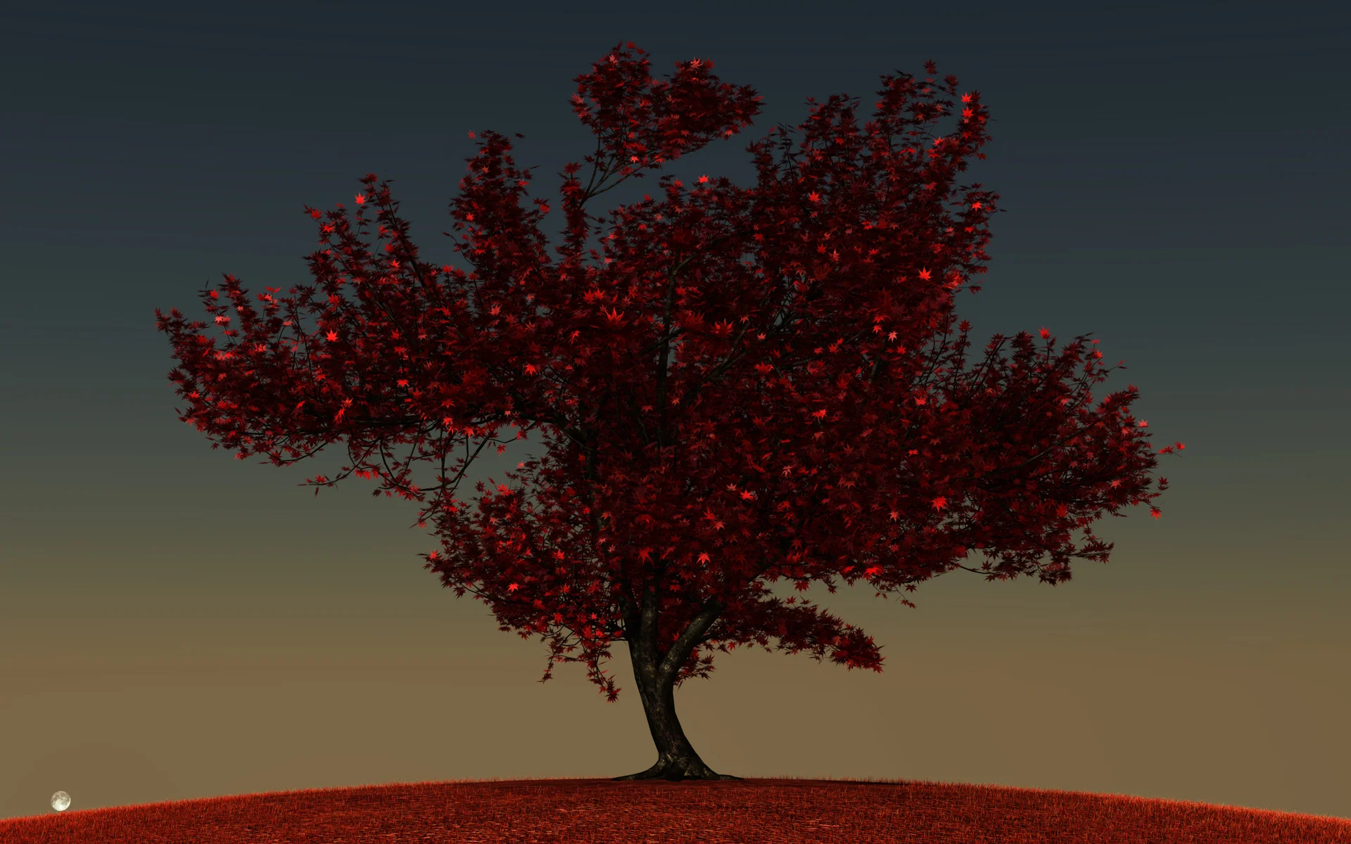 momiji01_final_009.jpg