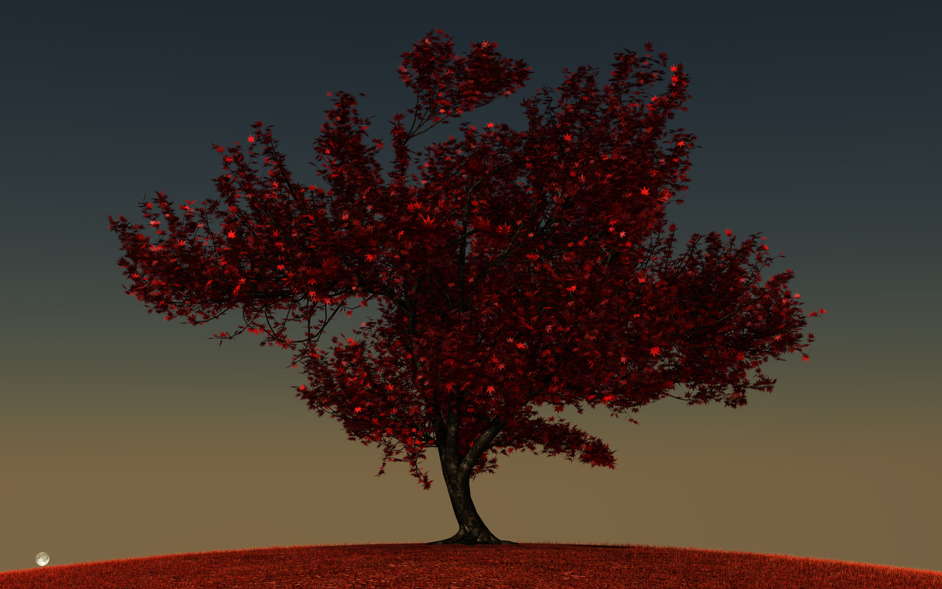 momiji01_final_009.jpg