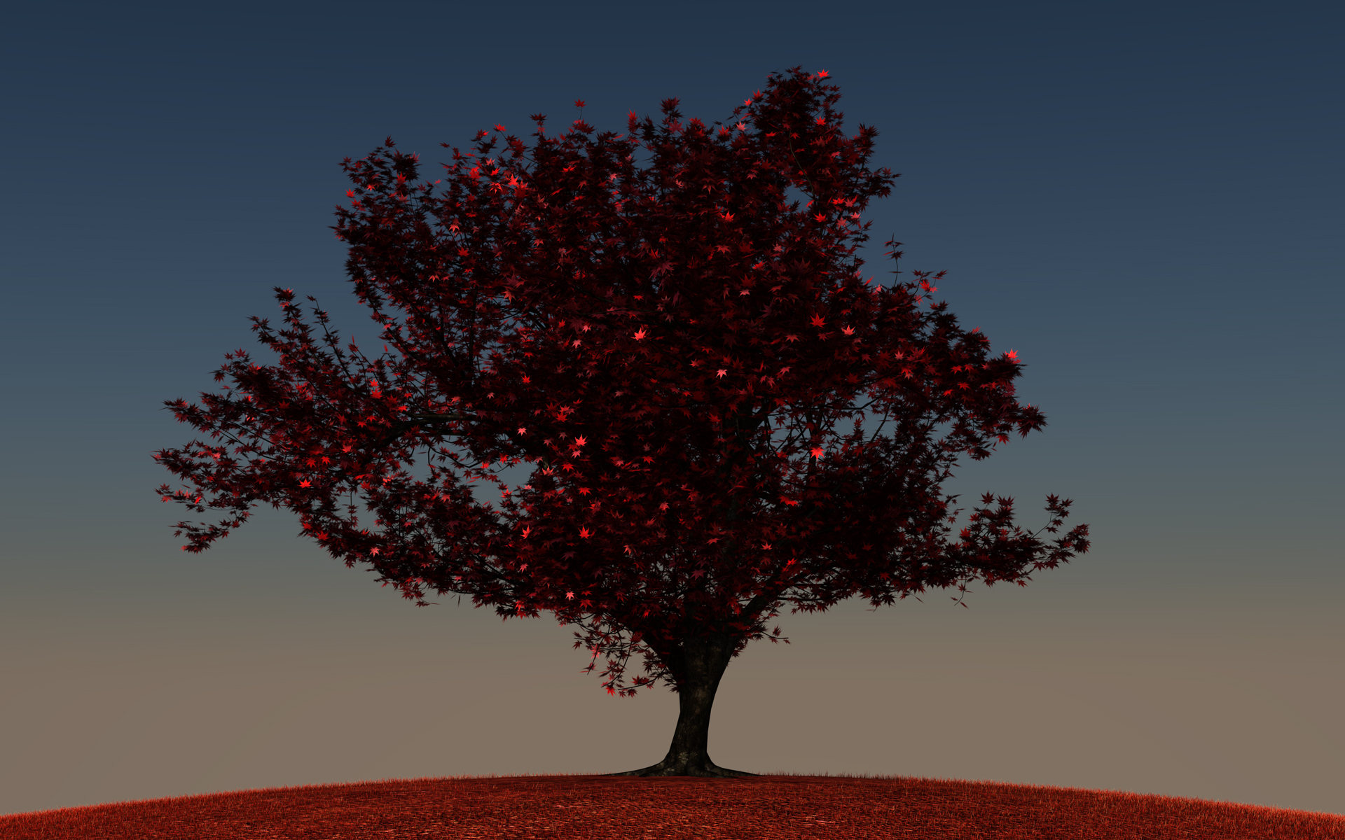 momiji01_final_010.jpg