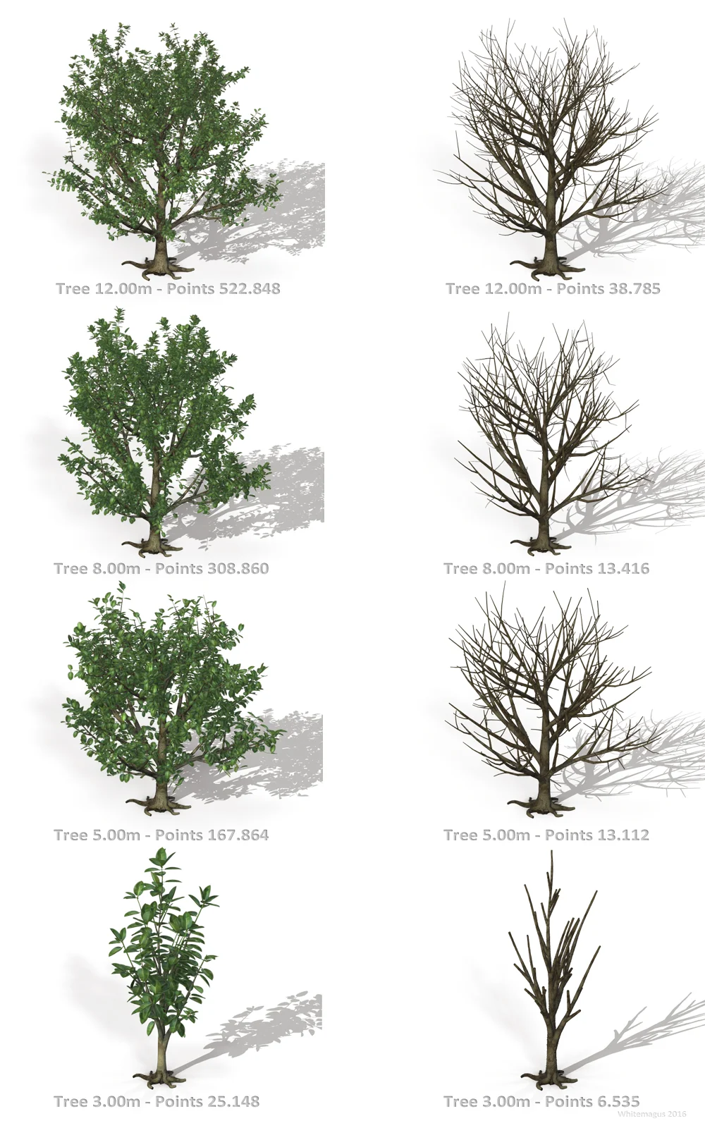 Trees_rubber_fig_promo08.jpg