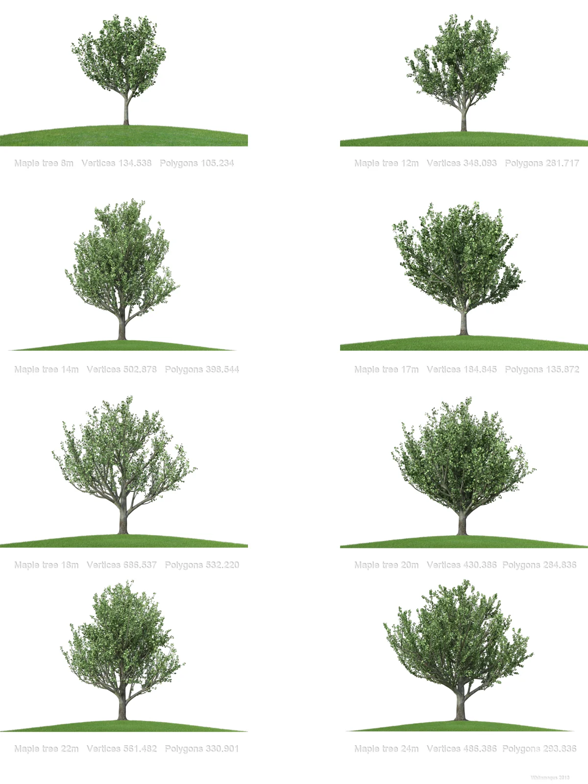 Maple_trees_col1_promo08.jpg