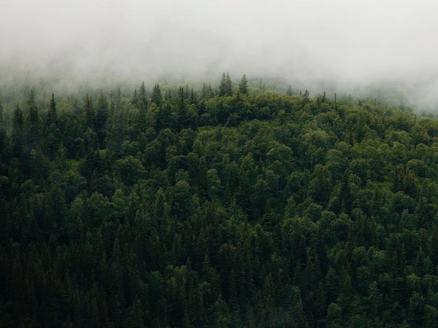 unsplash-image-v1eV6HUdcIE.jpg