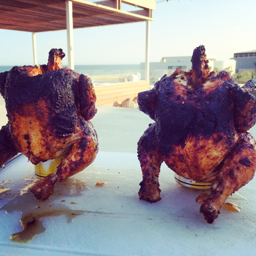 THE SELECT RECIPES: KILL TWO BIRDS WITH ONE beer