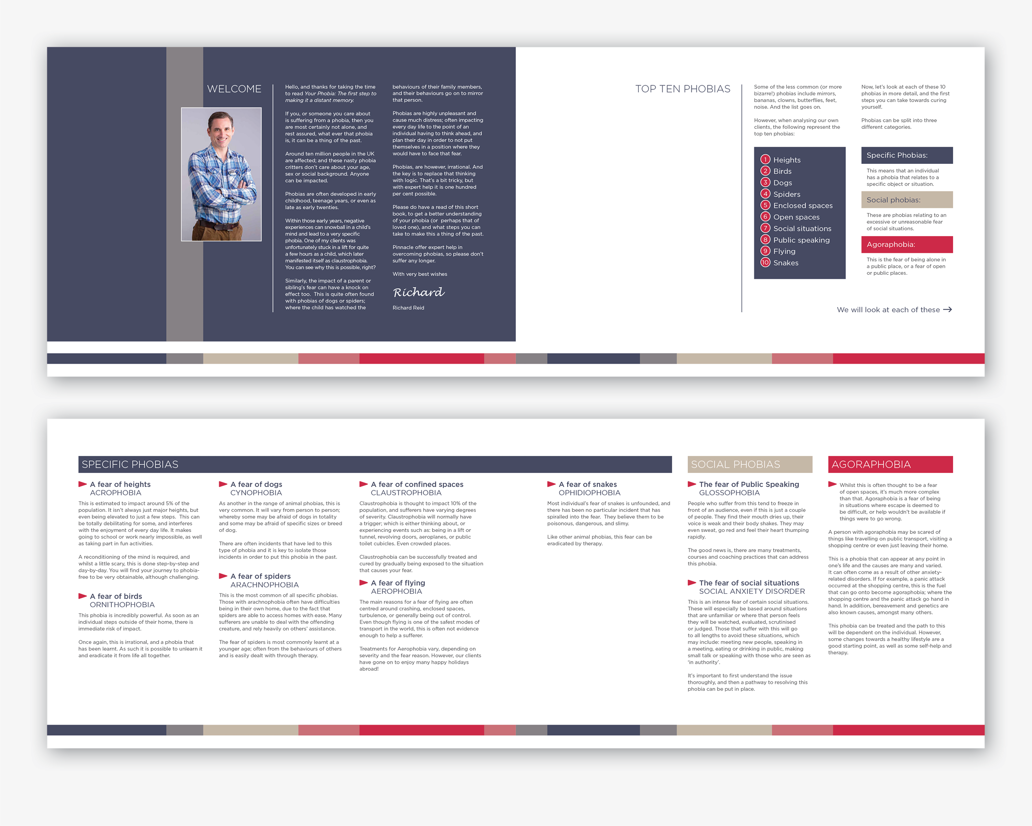 Portfolio_web_Pinnacle-section4.png