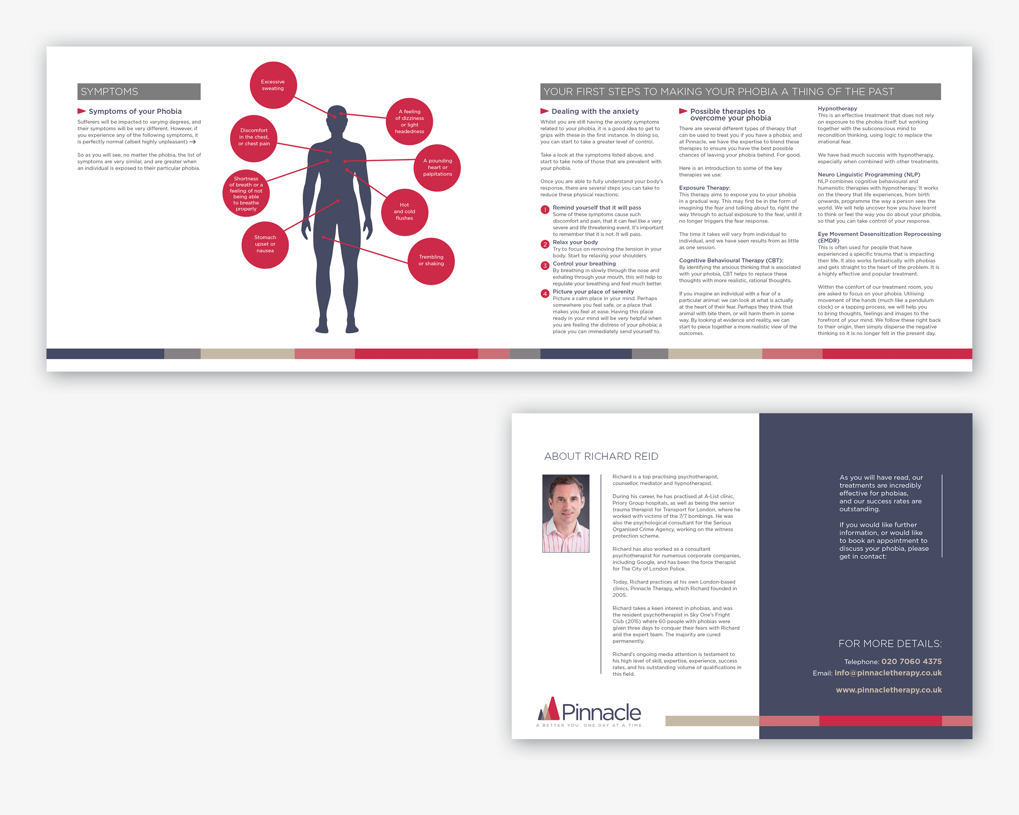 Portfolio_web_Pinnacle-section5.png