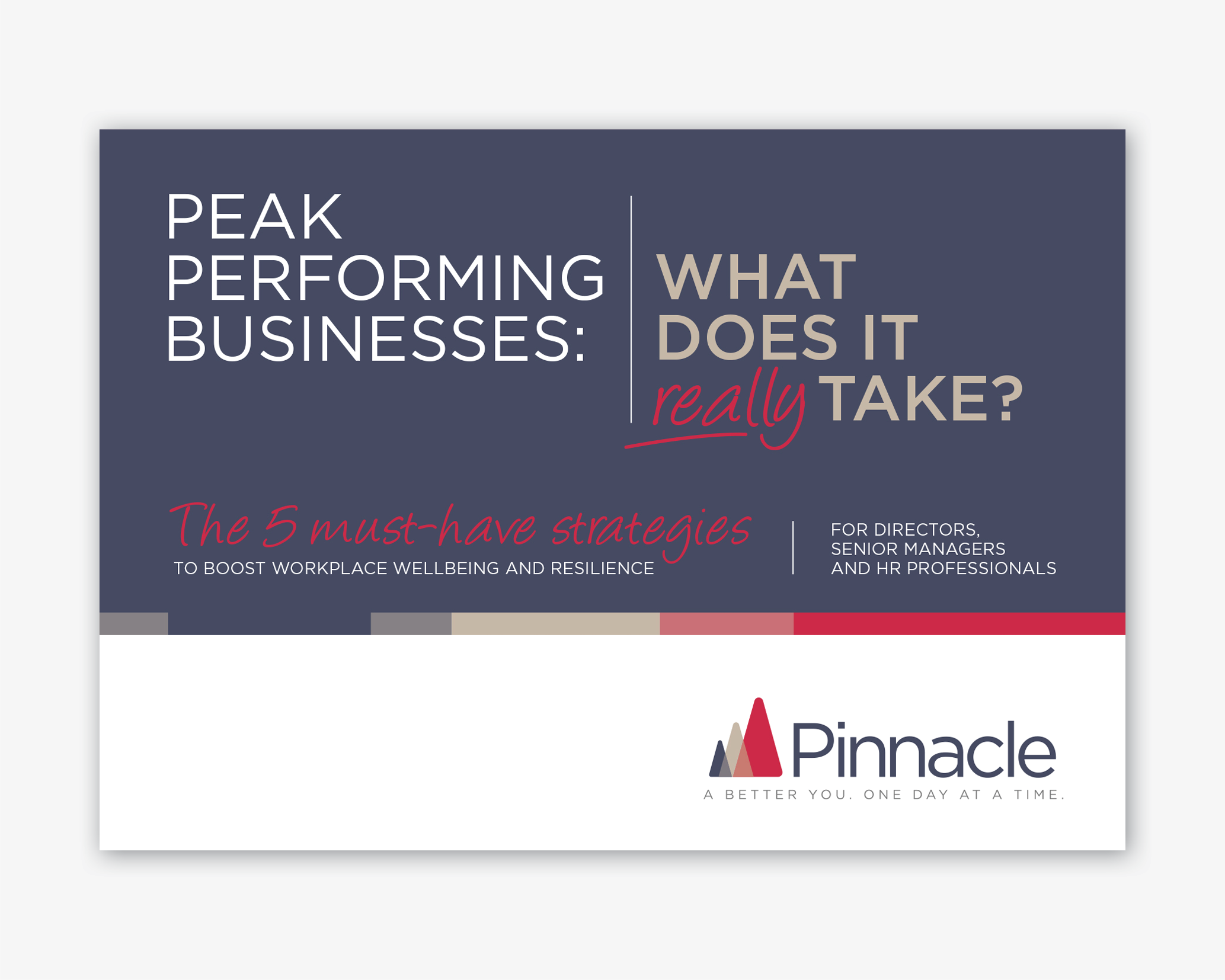 Portfolio_web_Pinnacle-section6.png