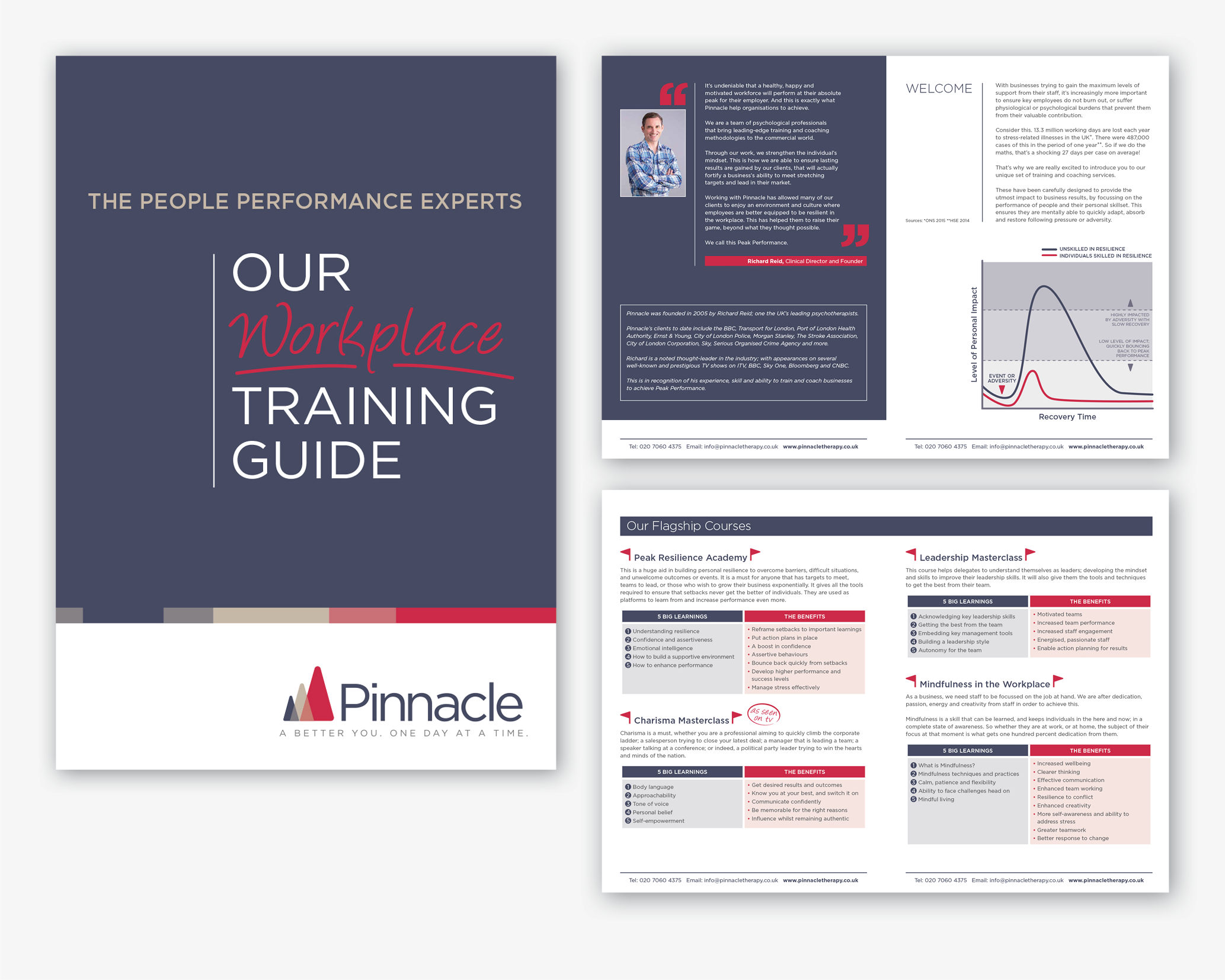 Portfolio_web_Pinnacle-section8.png