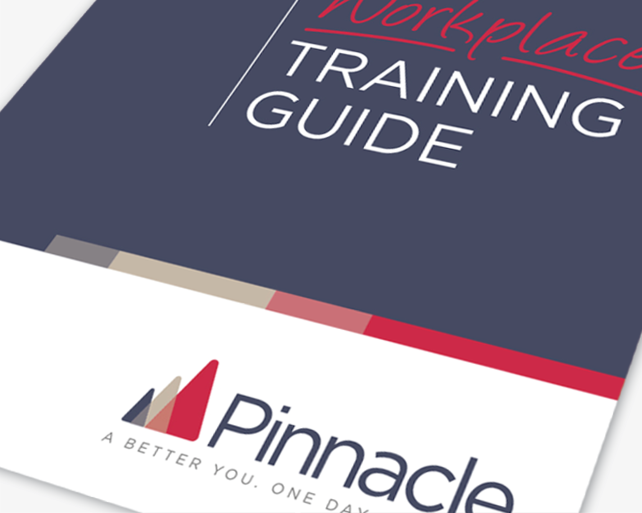 Portfolio_web_Pinnacle-section.png