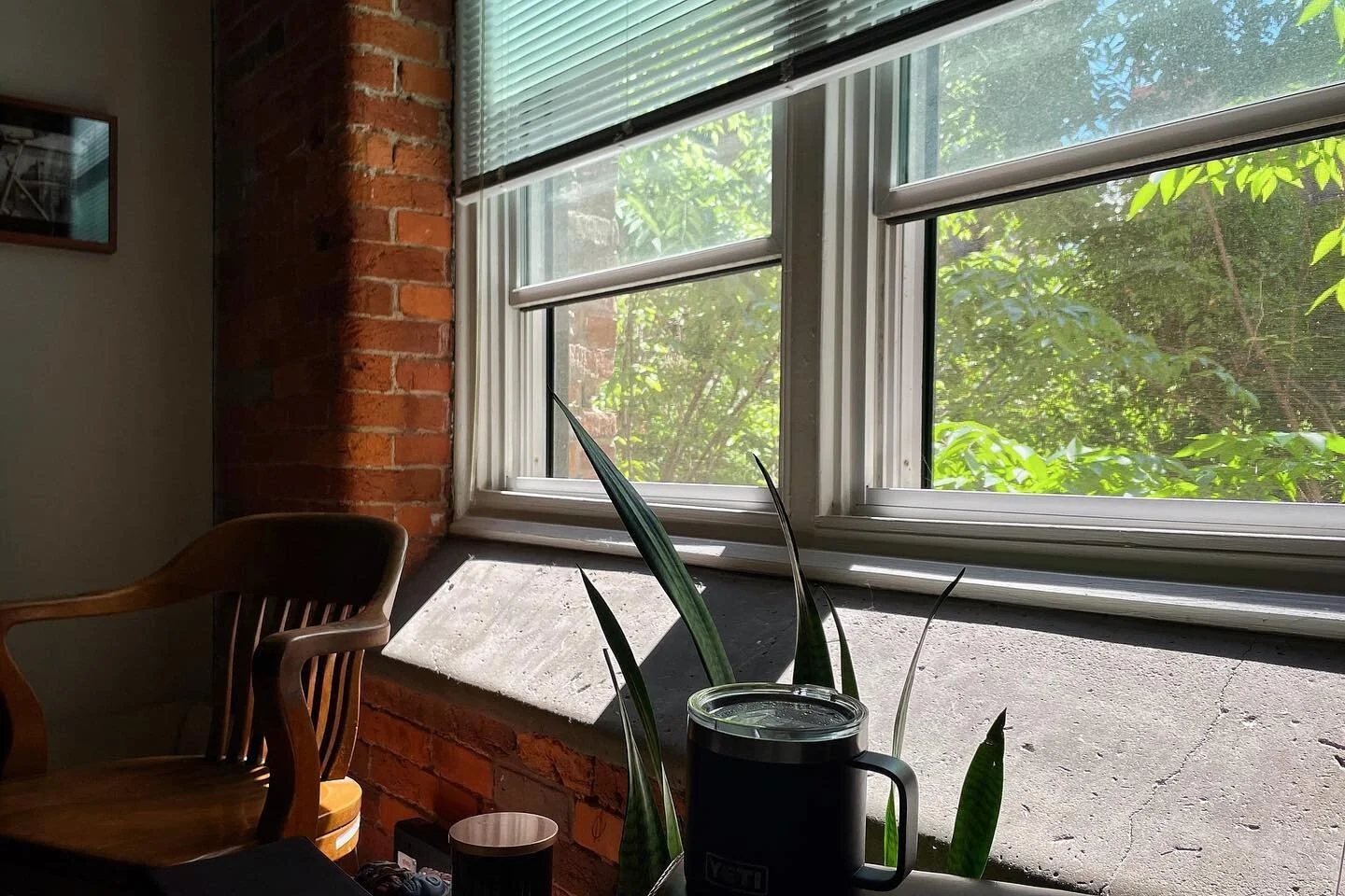 I currently live near downtown Richmond, but my apartment overlooks a courtyard with lots of trees. So most of what I see is the green you see from where I’m sitting. Sooo thankful for trees and spring, nice weather and screened in windows!