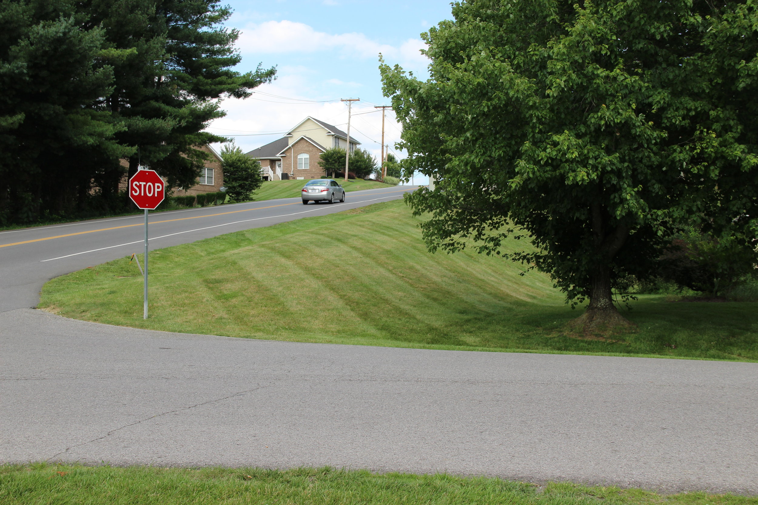 Tree Service Christiansburg