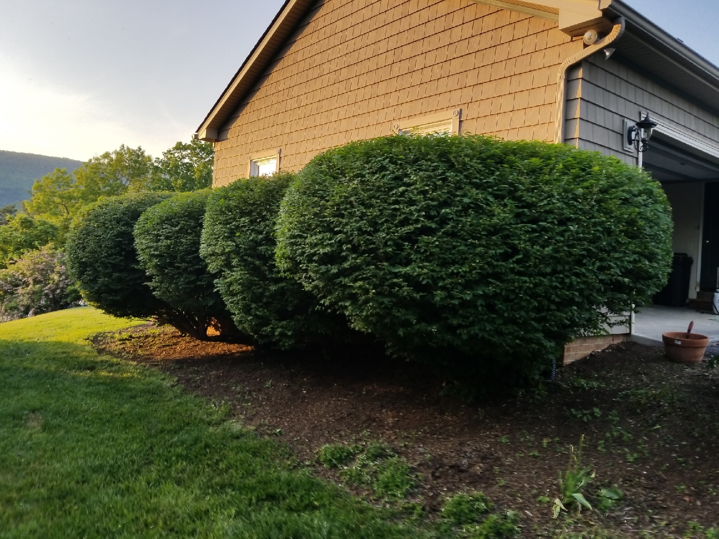 landscaping-Christiansburg-Virginia.jpg