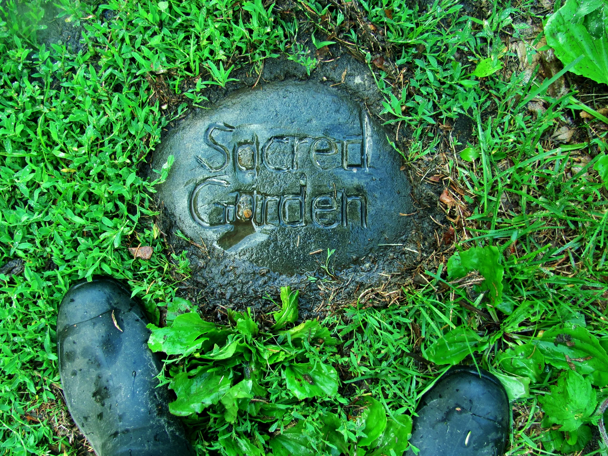 The Soul Gardener: A Poem for the Hopeful and Determined