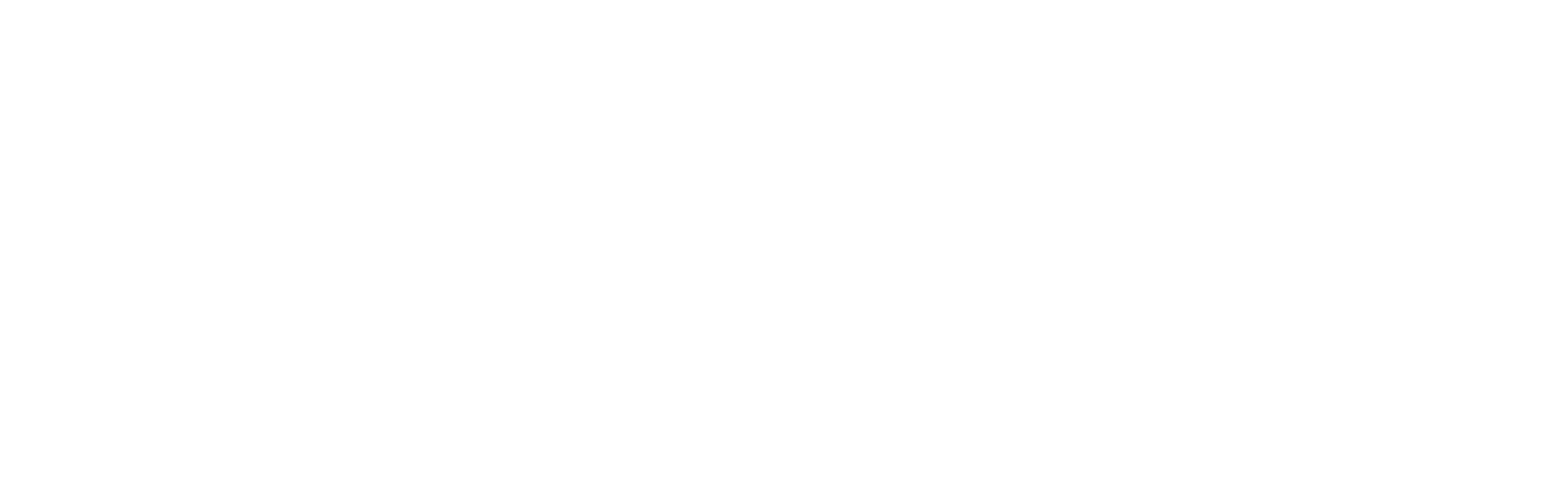 Belfast Stories Mono Reverse.png