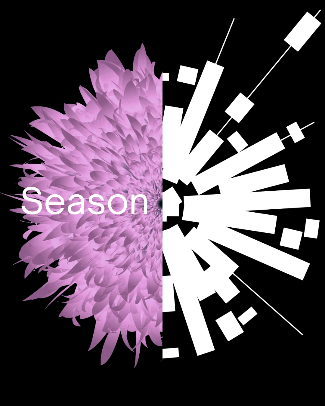 Seasons of Career