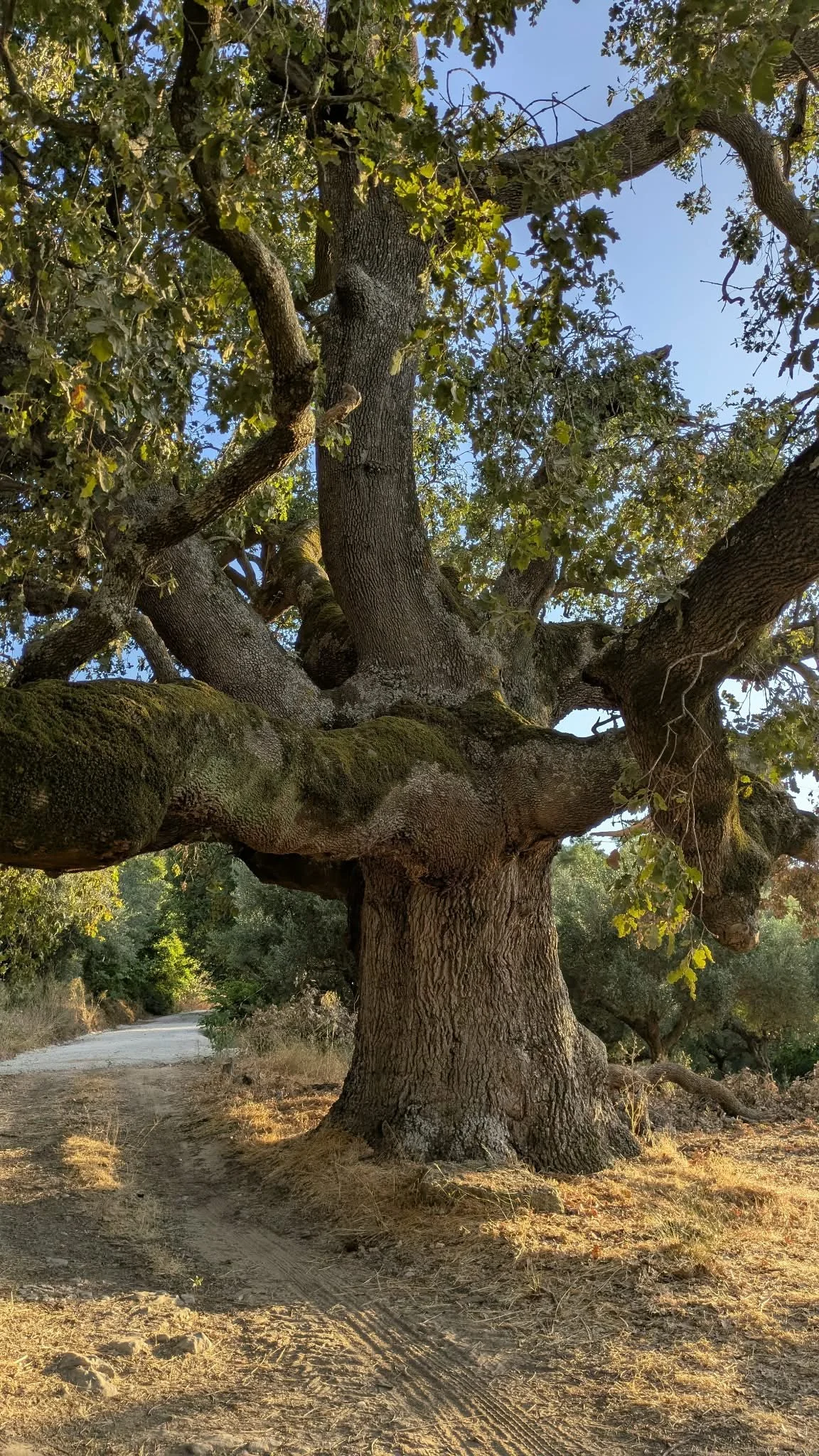 How might we design death rituals which are rooted in curiosity, care and human connection?