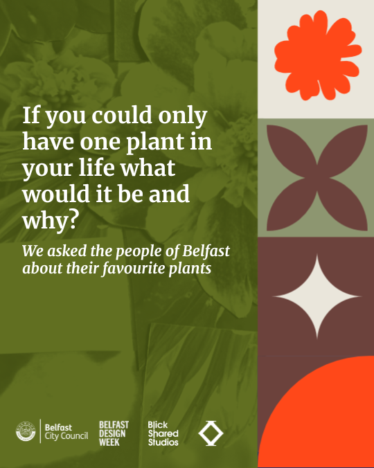 If you could only have one plant in your life what would it be and why?