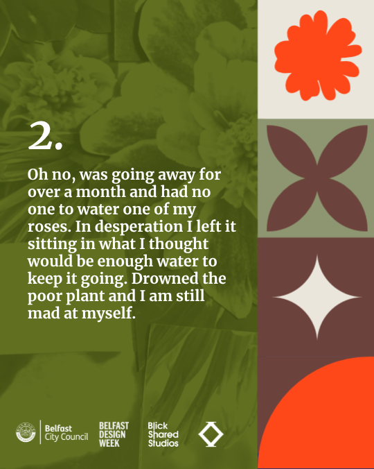 Story 1 (2).png