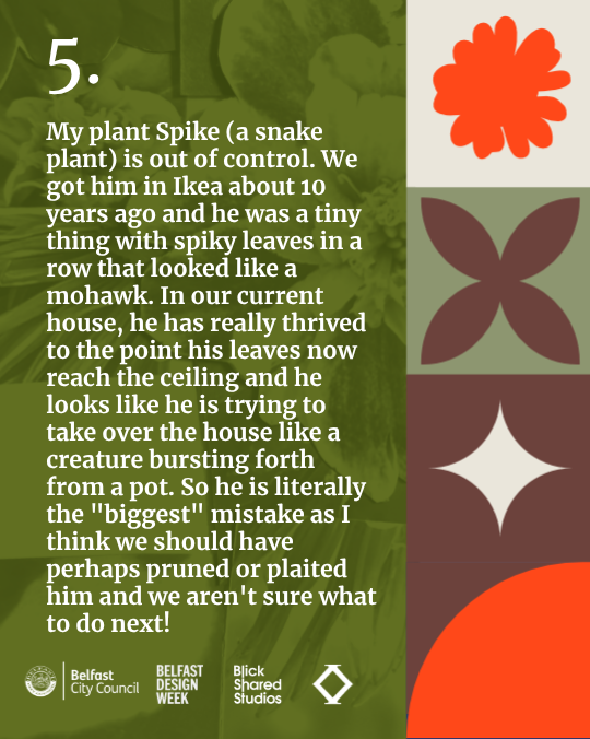 Story 1 (5).png