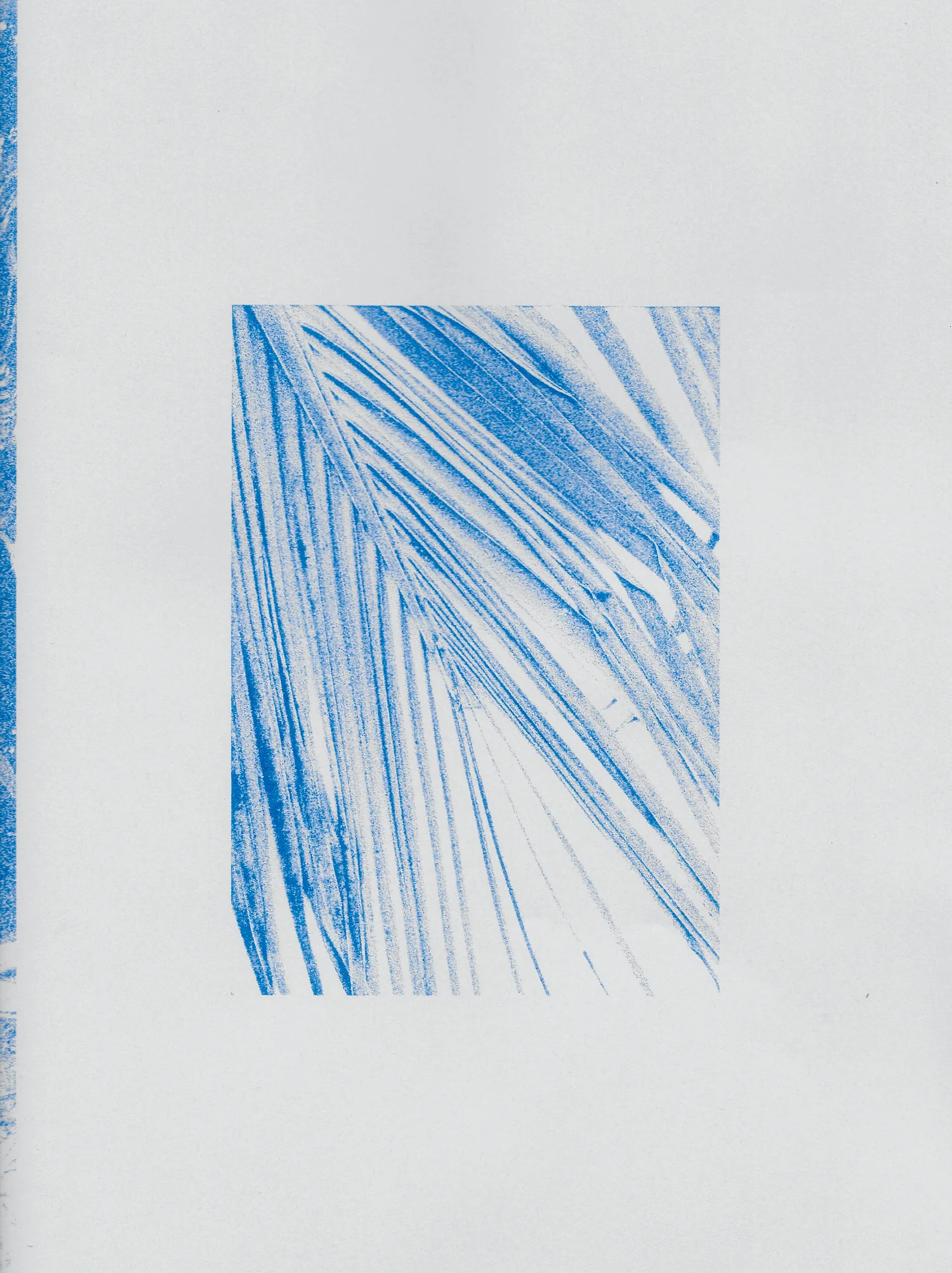 Zinzi de Brouwer Palm Riso Print.jpg