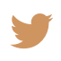 twitter_icon_2x.png