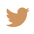 twitter_icon_2x.png