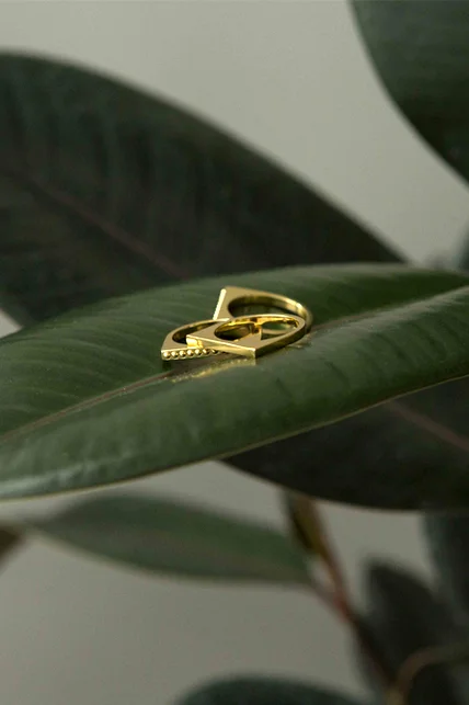 rings.jpg