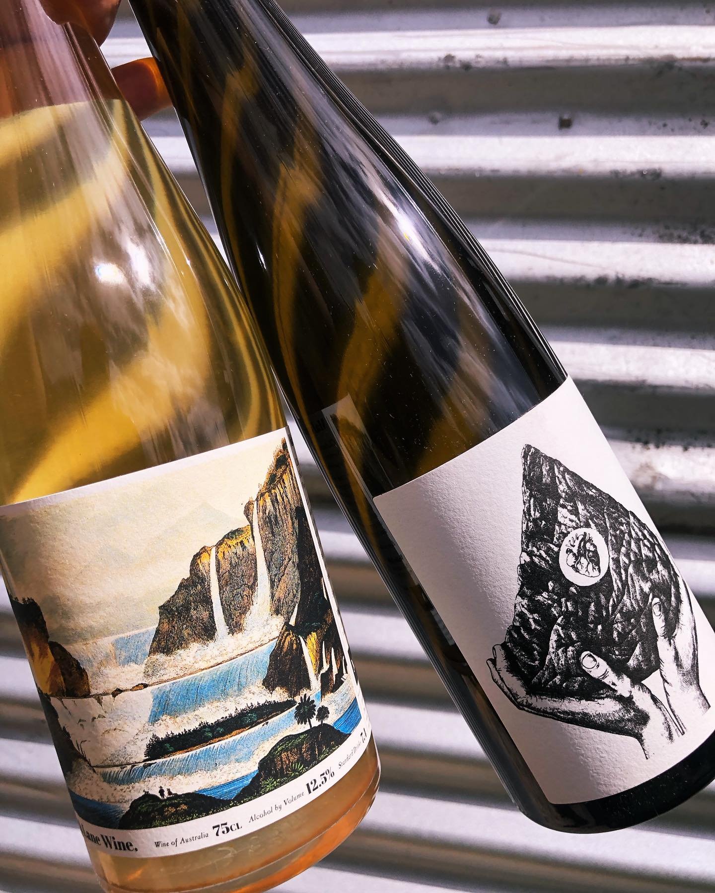 New Versions.

Bottling prep on the new 2022 Gew&uuml;rz/Gr&uuml;ner and 2022 Malvasia.
A long time in barrel, unsulphured, has not adversely affected these wines, rather has allowed them to evolve and gain much complexity.
Will get them in to bottle