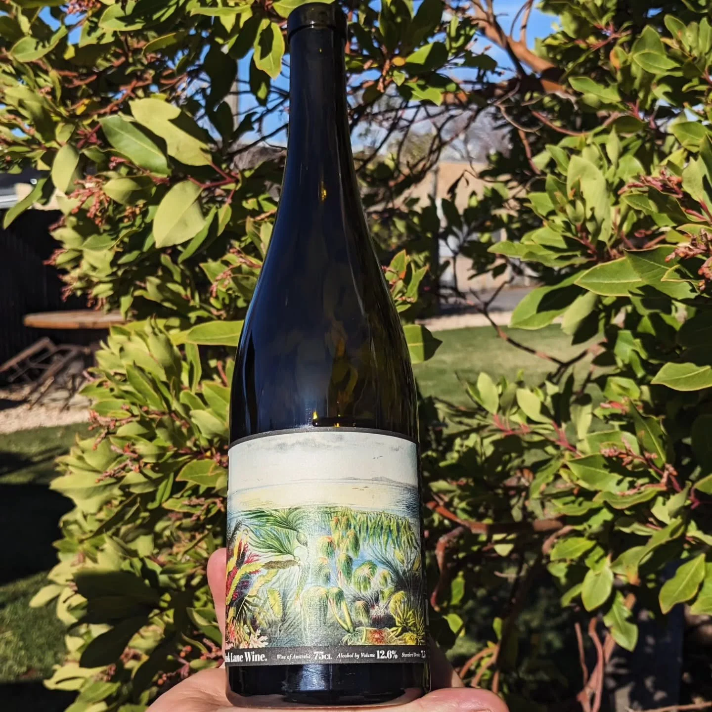 The sun&rsquo;s out, the fire&rsquo;s glowing, and the glasses are full. It's a perfect day at the cellar door. Our Yandoit Glenwillow Cabernet is pouring beautifully, showing off its vibrant structure and savoury edge. We believe it&rsquo;s a fine e