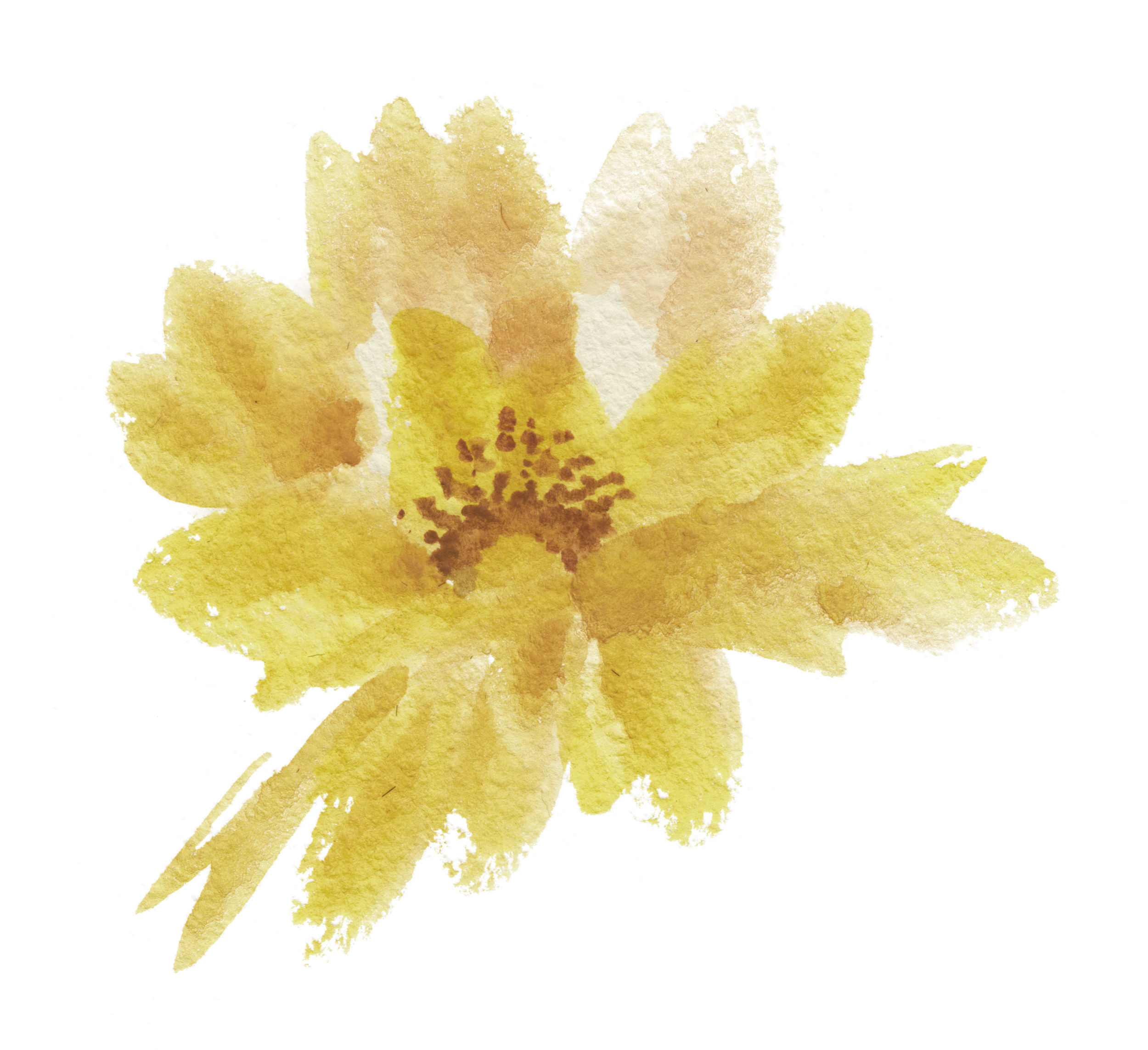 Flower Logo.jpg