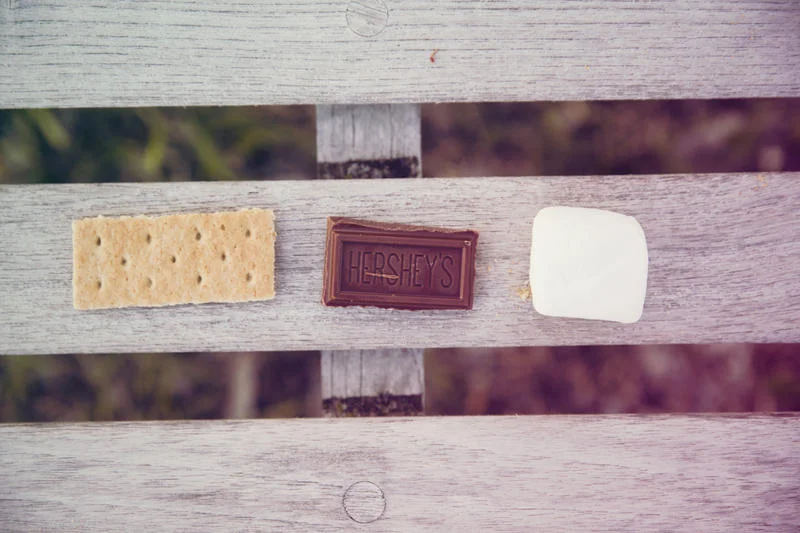 Neighborhood Picnics